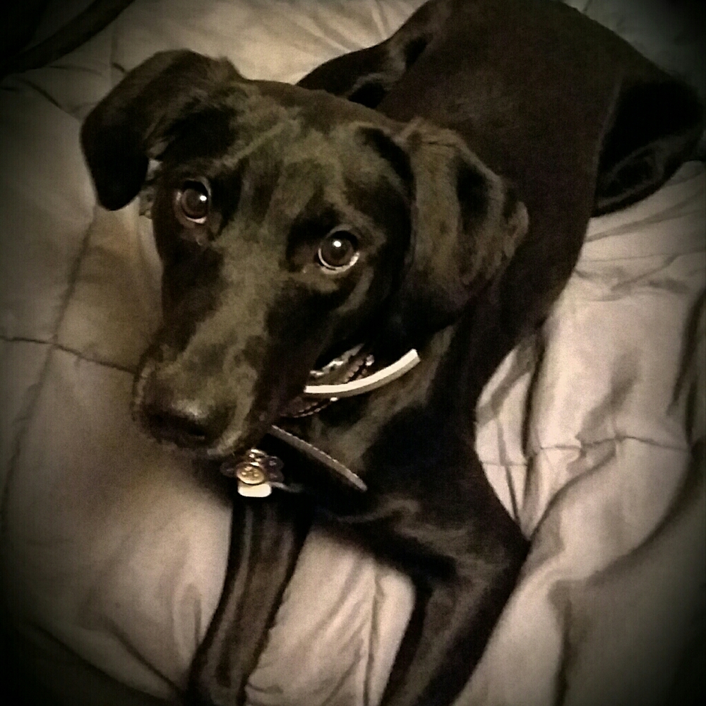 Meet your Posher, Jeana